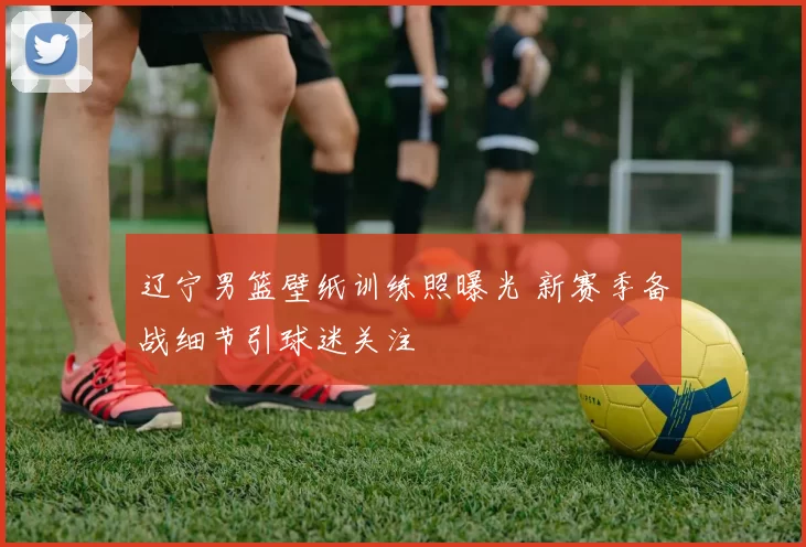 辽宁男篮壁纸训练照曝光 新赛季备战细节引球迷关注