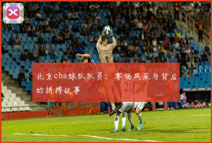 北京cba球队队员：赛场风采与背后的拼搏故事