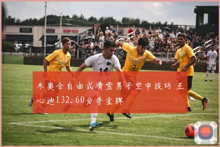 冬奥会自由式滑雪男子空中技巧 王心迪132.60分夺金牌