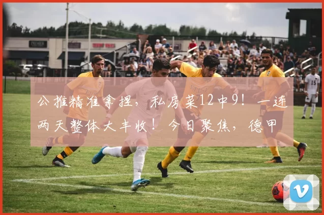 公推精准拿捏，私房菜12中9！一连两天整体大丰收！今日聚焦，德甲：汉堡 VS 莱红牛_主场_差距_状态
