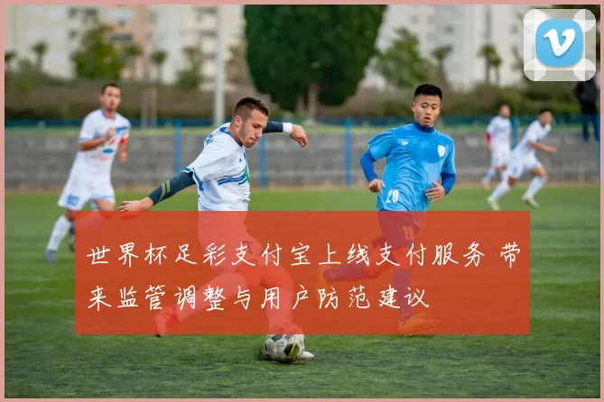 世界杯足彩支付宝上线支付服务 带来监管调整与用户防范建议