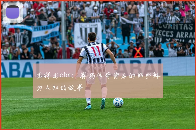 孟祥龙cba：赛场传奇背后的那些鲜为人知的故事