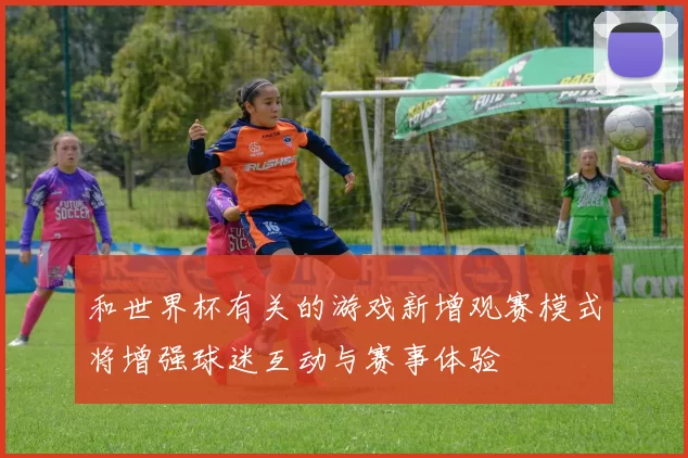 和世界杯有关的游戏新增观赛模式将增强球迷互动与赛事体验
